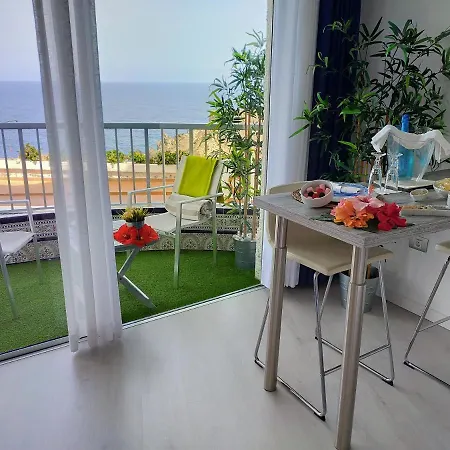 Apartment Playa Monis 1